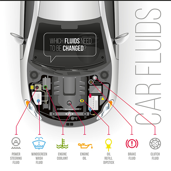 How to Deal with Mysterious Car Fluid Leaks | Space Center Automotive of Clear Lake